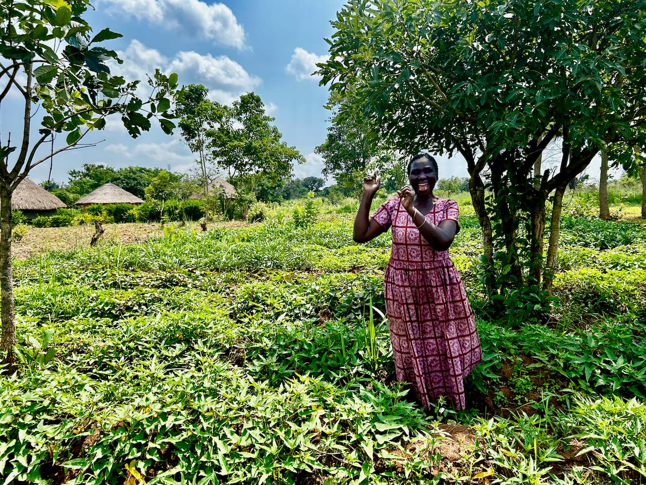 Arrival & Settlement